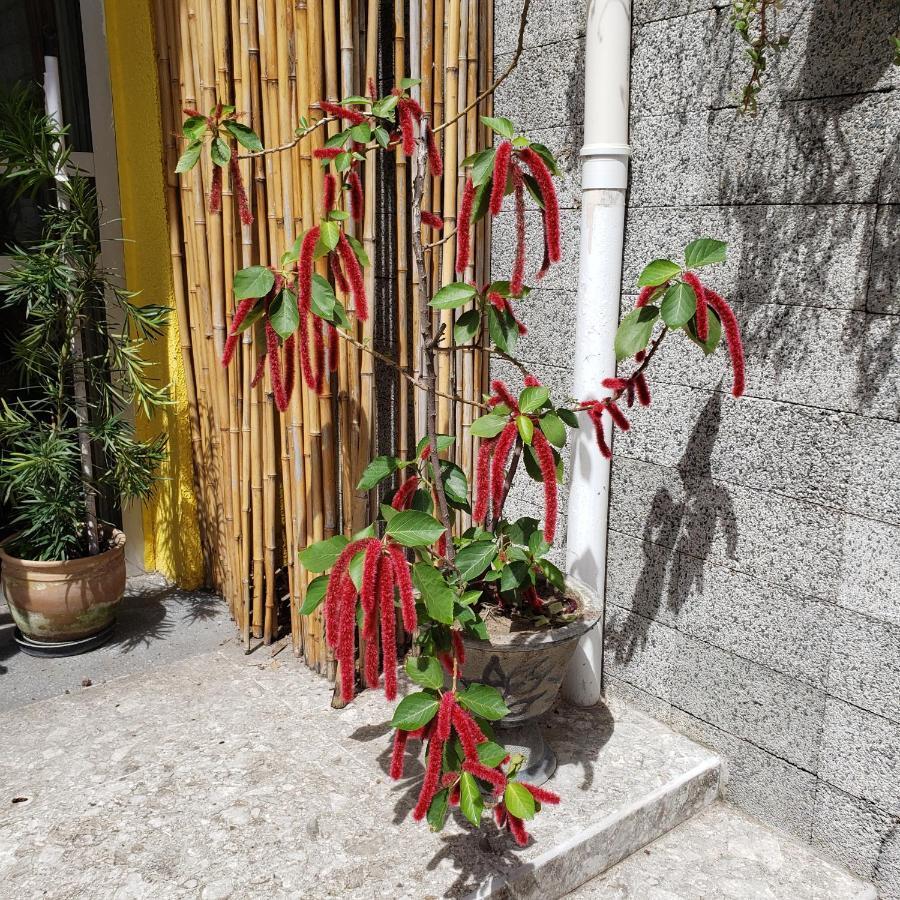 Pousada Maraki Maceió Kültér fotó